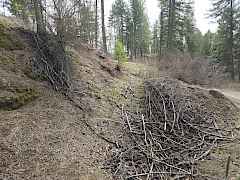 20250402_110714(0)