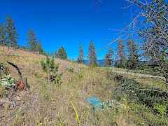 20240703050341334562000000-o