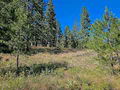 20240703050343936469000000-o