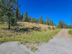 20240703050353795641000000-o