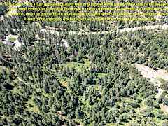 2443 Eagle Lambert Rd-4