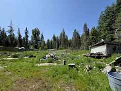 Land & Outbuilding