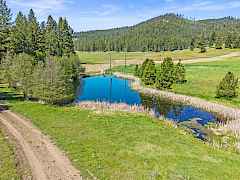 Lower Pond