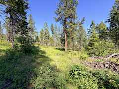 6-IMG_4946