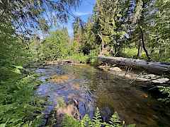Little Pend Oreille River