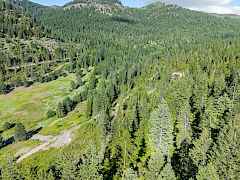 271-stranger creek ranch