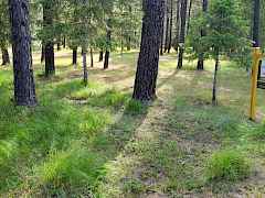 256 Eagle DR ph 4