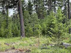 8BC3122E-D0CC-40CA-80E1-6181454EAA27_1_1