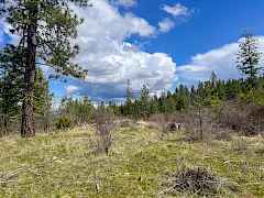 2-IMG_8278