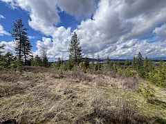 5-IMG_8281